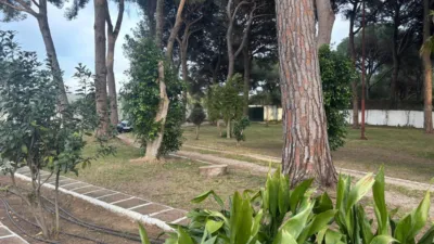 Rustic Finca in the Surroundings photo 43
