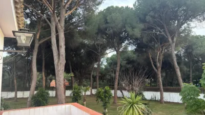 Rustic Finca in the Surroundings photo 58
