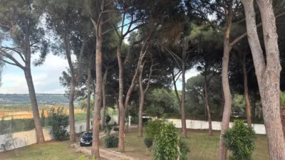 Rustic Finca in the Surroundings photo 59