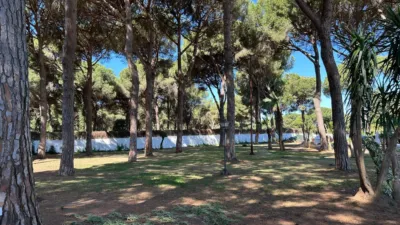 Rustic Finca in the Surroundings photo 7