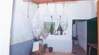 House in Campofrio photo 20
