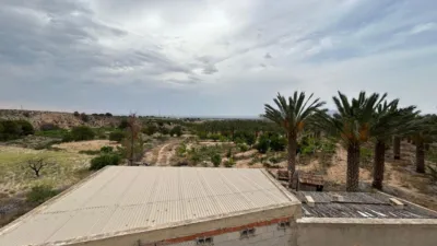 Rustic finca in Albatera photo 12