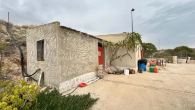 Rustic finca in Albatera photo 3