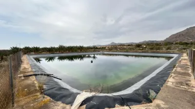 Rustic finca in Albatera photo 9