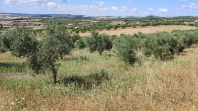 House in Surroundings photo 14