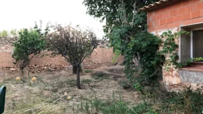 House in Minaya photo 35