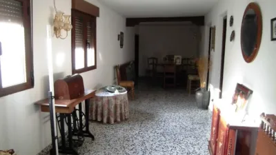 Miniatura 11