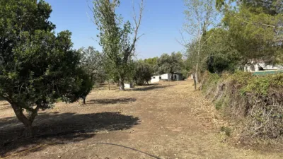 Chalet in Zocueca photo 36