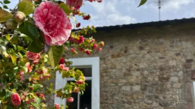 Rustic house in Barrio de Molina photo 22