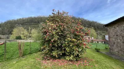 Rustic house in Barrio de Molina photo 37