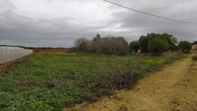 Rustic Finca in Chiclana de La Frontera photo 4