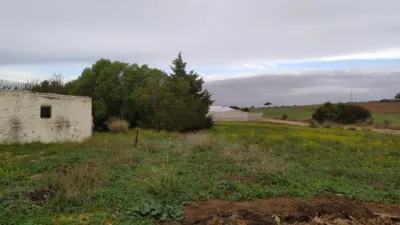 Rustic Finca in Chiclana de La Frontera photo 5