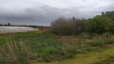 Rustic Finca in Chiclana de La Frontera photo 7
