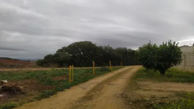 Rustic Finca in Chiclana de La Frontera photo 8