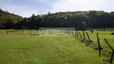 Rustic farm on Calle O Sumeiro, O Burgo photo 5