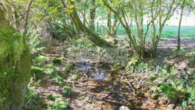 Rustic farm on Calle O Sumeiro, O Burgo photo 6