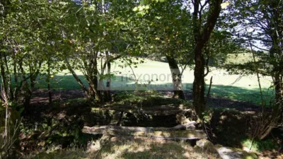 Rustic farm on Calle O Sumeiro, O Burgo photo 7