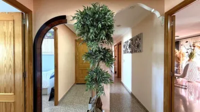 Piso – Caudete, Albacete - Vista 5