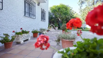 Chalet in the outskirts of Jaén - Cerromolina photo 66