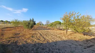 Rustic Finca in Fuensanta photo 14