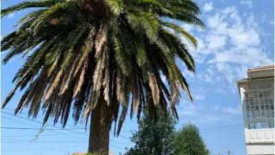 Casa – Narón, Río do Pozo, O Feal - Vista 5