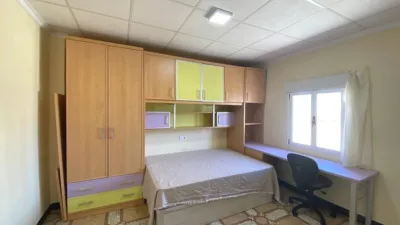 Apartment in San Luis photo 7