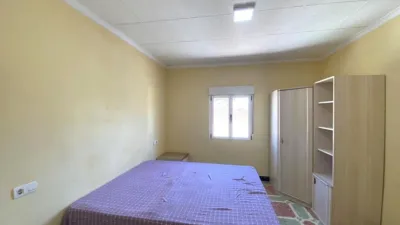 Apartment in San Luis photo 9