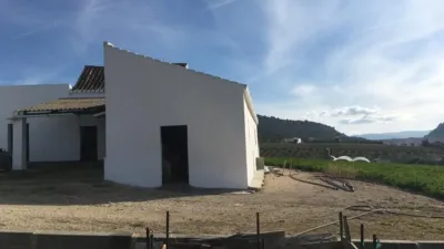Rustic Finca in the Surrounding Area photo 10