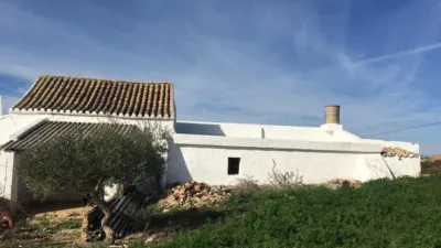 Rustic Finca in the Surrounding Area photo 13