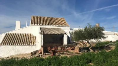 Rustic Finca in the Surrounding Area photo 9