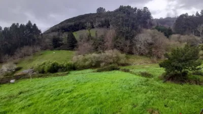 House in Limpias photo 8