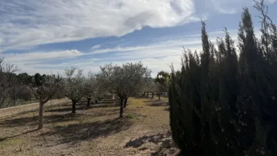 Chalet in Vereda de Santa Ana photo 39