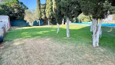 Chalet on Besana Street, El Pino photo 15