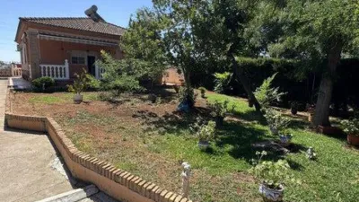 Chalet on Besana Street, El Pino photo 55