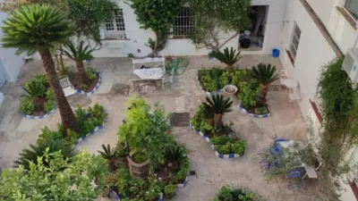 Apartment in Barrio Bajo photo 19