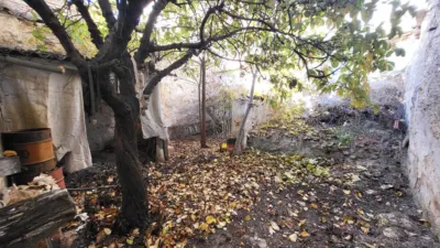 House in Bascula photo 22