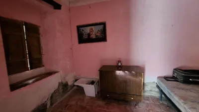House in Bascula photo 3