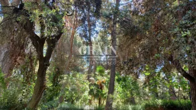 Chalet en Pinares del Jucar photo 56