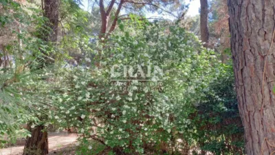 Chalet en Pinares del Jucar photo 62