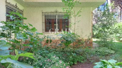 Chalet en Pinares del Jucar photo 63