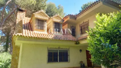 Chalet en Pinares del Jucar photo 65