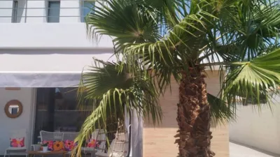 Chalet en Sector Retama photo 4