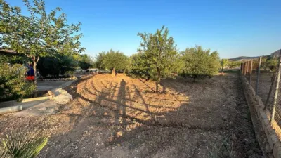 Rustic finca in Hondon de Las Nieves photo 21