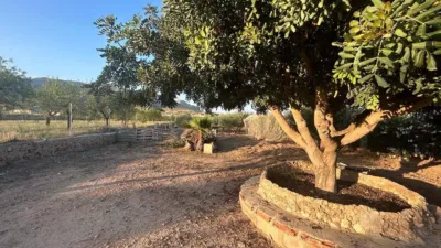 Rustic finca in Hondon de Las Nieves photo 22