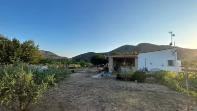 Rustic finca in Hondon de Las Nieves photo 23