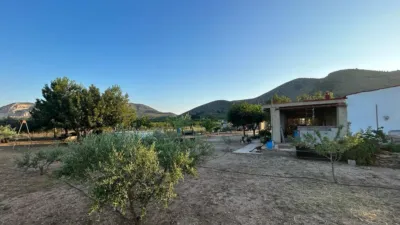 Rustic finca in Hondon de Las Nieves photo 25