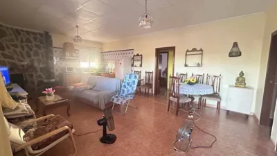 Rustic finca in Hondon de Las Nieves photo 5