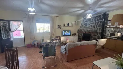 Rustic finca in Hondon de Las Nieves photo 6