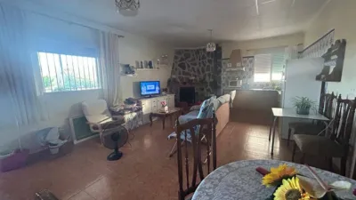 Rustic finca in Hondon de Las Nieves photo 8