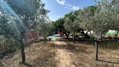 Rustic house in Hondon de los Frailes photo 11